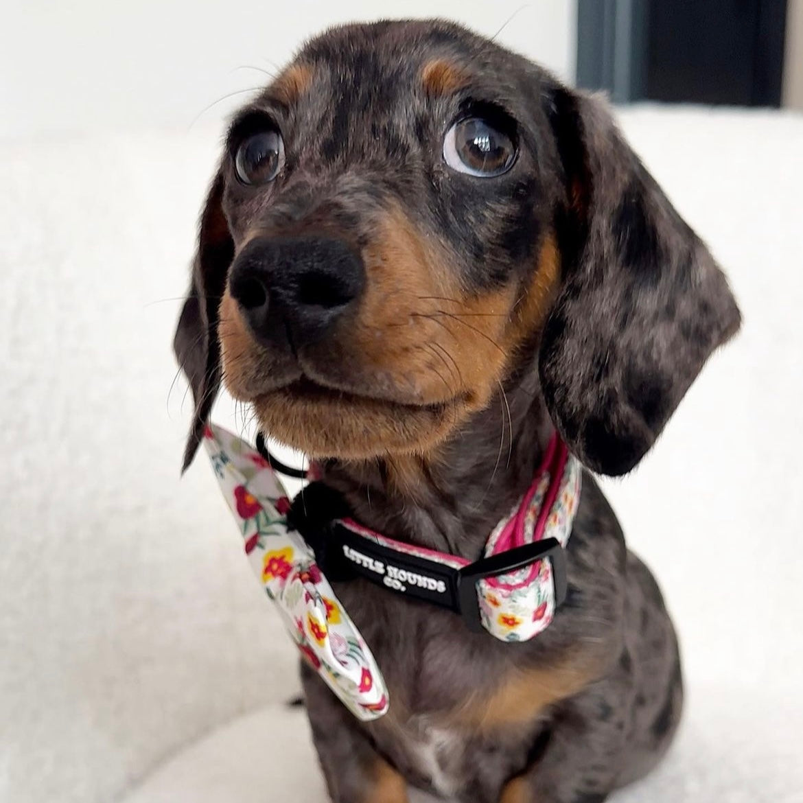 Flowers - Collar